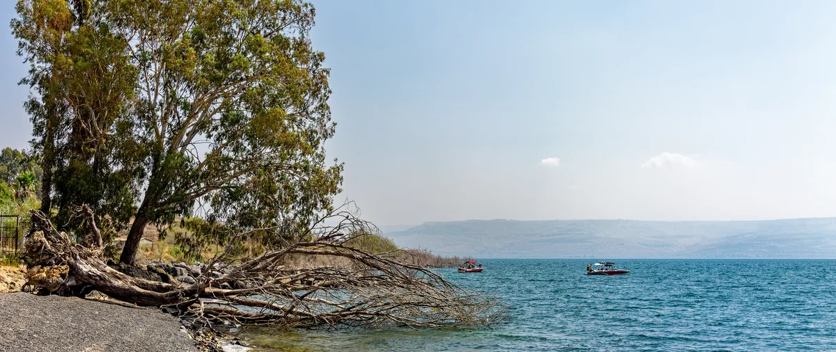 Берег Галилейского моря — озера Кинерет